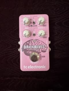 tc electronic BRAINWAVES PITCH SHIFTER - メルカリ