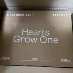 ald1 DICON Heart Grow One サンウォン B - メルカリ