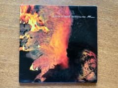 SHUREN the FIRE BIRD OF 12 GAUGE CDのサムネイル