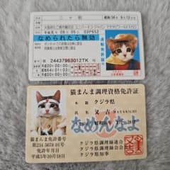 まとめ売り！】なめ猫 猫まんま調理資格免許証 免許証カード 又吉 ニャ