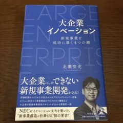 大企業イノベーション 新規事業を成功に導く4つの鍵のサムネイル