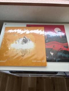 kiki vivi lily アナログレコード LP 2枚セットのサムネイル
