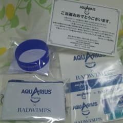 【値下げ】RADWIMPS アクエリアスのサムネイル