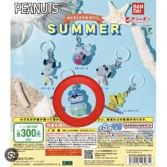 PEANUTS めじるしアクセサリー SUMMERのサムネイル
