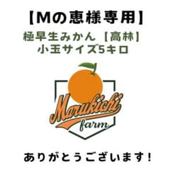 ［Mの恵様専用］小玉サイズ5キロ 極早生みかん高林のサムネイル