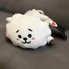 BT21 RJ Plush Pencil Case