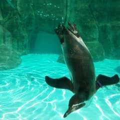J様返金ようのサムネイル