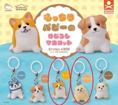 もっちりパピーのめじるしマスコット ポメラニアン コーギー ガチャ 匿名配送のサムネイル
