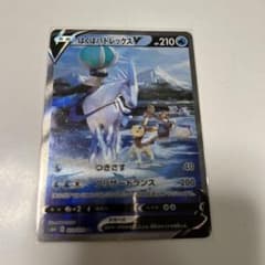 はくばバドレックスV SR ティック様専用のサムネイル