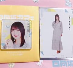 日向坂46カフェ　アクリルマグネット+トレカ (小坂菜緒)のサムネイル