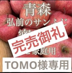 青森　りんご　蜜入　サンふじ　10キロのサムネイル