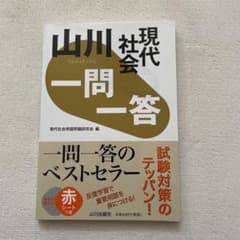 現代社会 一問一答 山川出版社のサムネイル
