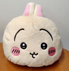 本日限定価格】【正規品 中古美品】みなみお姉さん 抱き枕カバー 