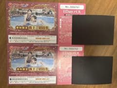 東京サマーランド 1Dayパス 2枚セットのサムネイル