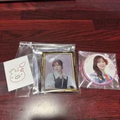 櫻坂46 田村保乃 カフェ 額縁マグネット ツアー 缶バッジ イラスト