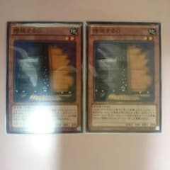 遊戯王 増殖するg 2枚のサムネイル