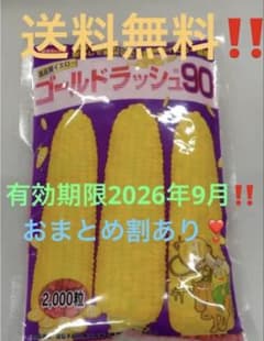 【期間限定】ゴールドラッシュ90 スイートコーン種 2000粒×5袋 サカタ 期間限定】ゴールドラッシュ90 スイートコーン種 2000粒 1袋サカタの