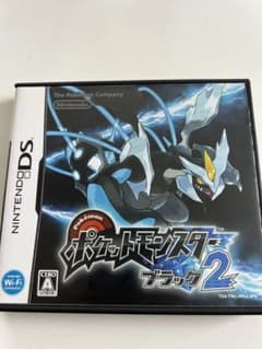 ポケットモンスター ブラック2 DSのサムネイル
