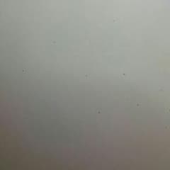 ふうが様専用  バルガライザーのサムネイル