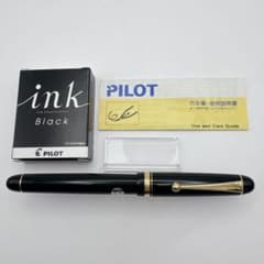 美品✨PILOT CUSTOM 74 万年筆 14K ブラック F 細字 セット - メルカリ