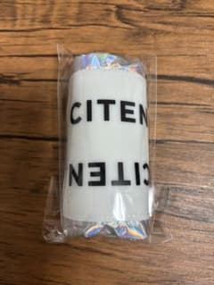 西武ライオンズ来　CITEN × LIONS メタリックバッグ　未開封ですのサムネイル