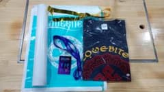 LOVEBITES 2025LIVE TOUR プレミアムグッズ 金テープのサムネイル