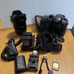 【ロッソ様】LUMIX GH5 II LEICA 12-60mm バッテリー3本 LUMIX GH5 II LEICA 12-60mm バッテリー3本 64GB付 - メルカリ