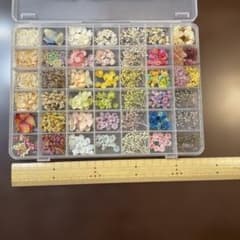 ドライフラワーセットのサムネイル