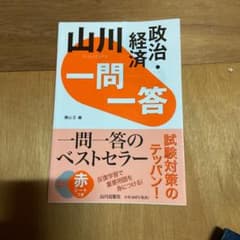 山川 一問一答政治・経済のサムネイル