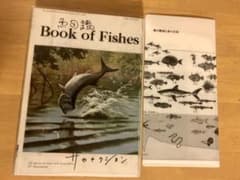 魚図鑑のサムネイル