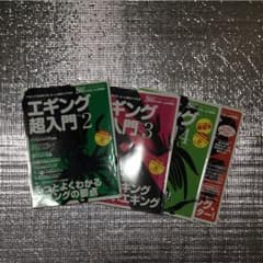 みよさん専用    エギング　超入門のサムネイル