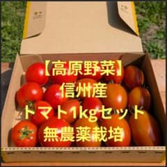 ⑦【高原野菜】信州産トマト1kgセット　サンマルツァーノ他のサムネイル