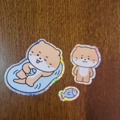 m18379836668_1.jpg?1753071335