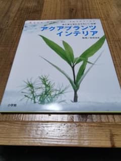 ねずみいろ様 リクエスト 2点 まとめ商品のサムネイル