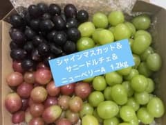 シャインマスカット＆サニードルチェ＆ニューベリーA 1.2kg٩(๑❛ᴗ❛๑)۶のサムネイル