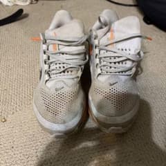 Nike Air Zoom ペガサスプレミアム25.5のサムネイル
