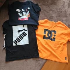 PUMA DCナイキ ロゴ Tシャツ 3枚セットのサムネイル