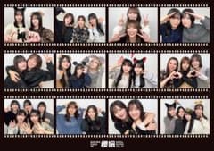 櫻坂46 櫻撮 3/14(土)生配信限定特典 ポスターB 折り目なしB3ポスターのサムネイル