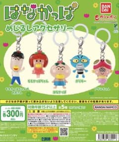 はなかっぱ めじるしアクセサリーのサムネイル