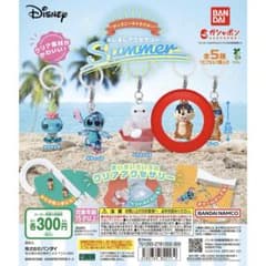 【本日削除予定‼️】ディズニーキャラクターめじるしアクセサリーsummerチップのサムネイル