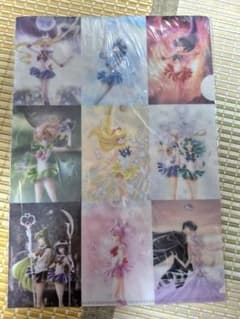 Pretty Guardian Sailor Moon Exhibition Clear File