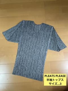 【最終お値下げしました✨】PLEATS PLEASE ライトグレートップスのサムネイル