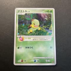 ナエトル PROMO プロモーションカード 001/PPPのサムネイル