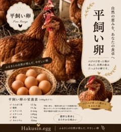 平飼い卵 10個入りのサムネイル