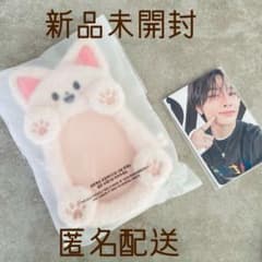 アイエン⭐️StrayKids SKZOO リールフォルダー ペンミ トレカケース