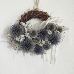 夏☀︎SALE！アナベルとルリタマアザミのキュートなハーフリース ルリタマアザミのナチュラスハーフリース - メルカリ