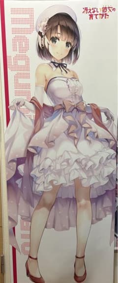 5枚セット] 冴えない彼女の育てかた 冴えカノ タペストリー 加藤