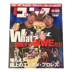 週刊ゴング　NO.1008 2月25日号のサムネイル