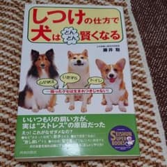 「しつけ」の仕方で犬はどんどん賢くなる : 困ったクセは生まれつきじゃない!のサムネイル