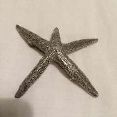 値下げ！PLUIE STARFISHバレッタのサムネイル
